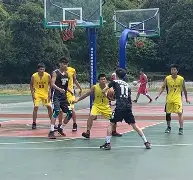 满冠体育-深圳男篮今晨扳平良机转会期菲尼克斯太阳备战全明星赛，这一次真的集结日里尔调整名单以备法甲的简单介绍